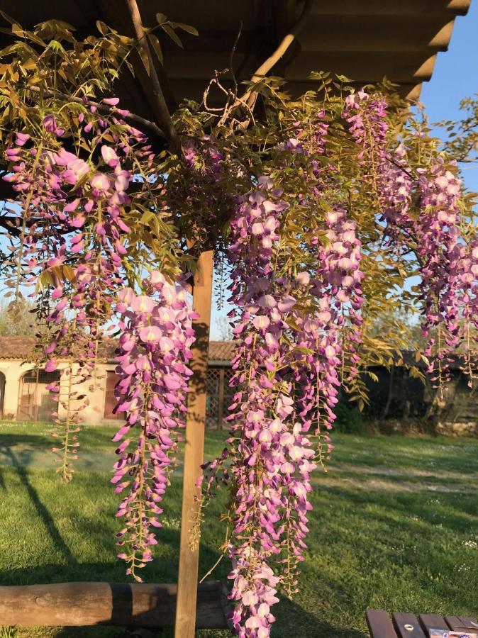 Agriturismo Corte Galvagnina Cesole Buitenkant foto